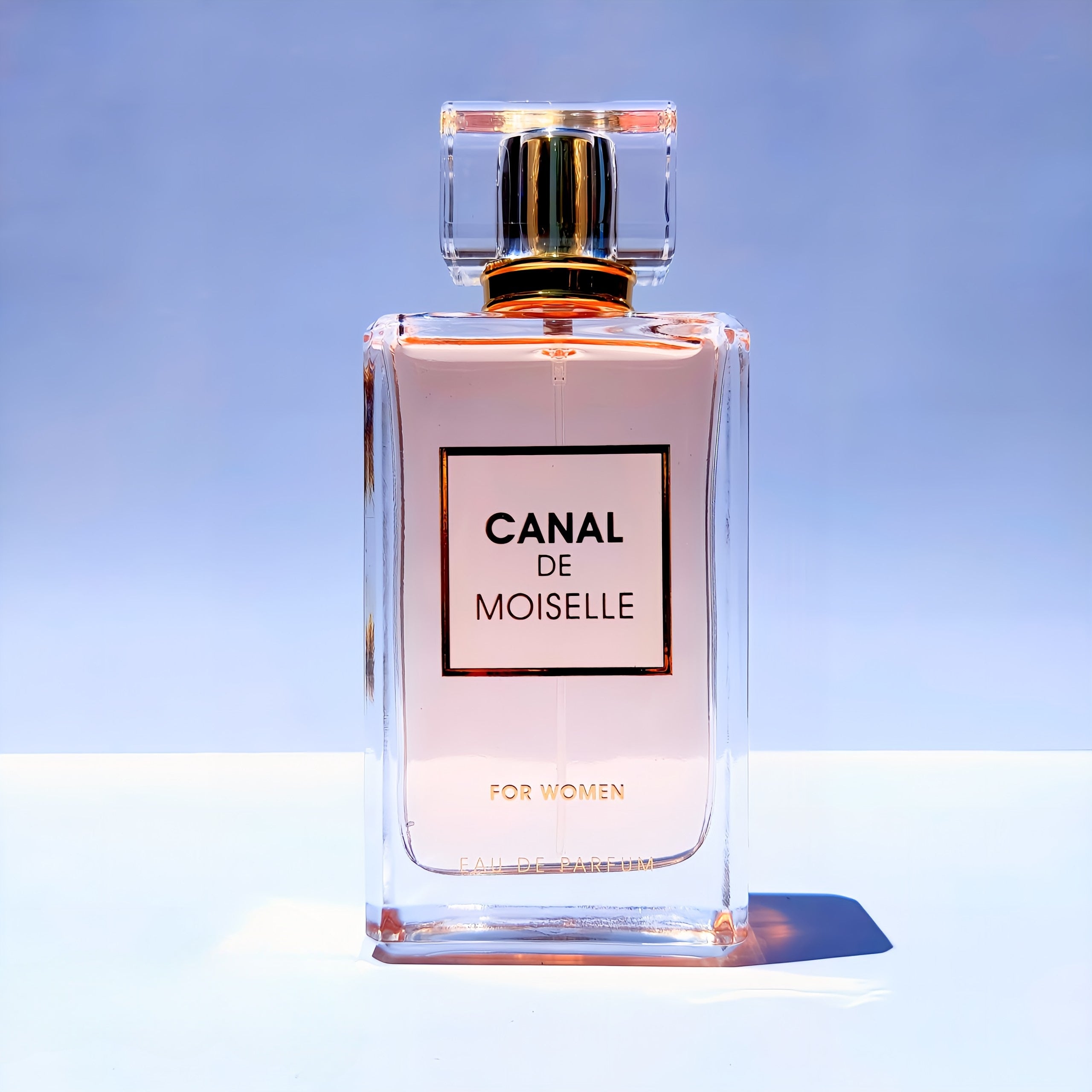 Canal De Moiselle بديل كوكو مدموزيل (100ML ستاتي)