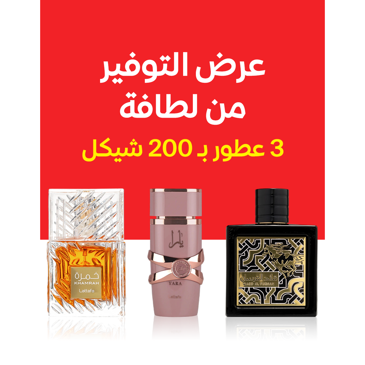 قائد الفرسان + يارا الكسير + خمرة