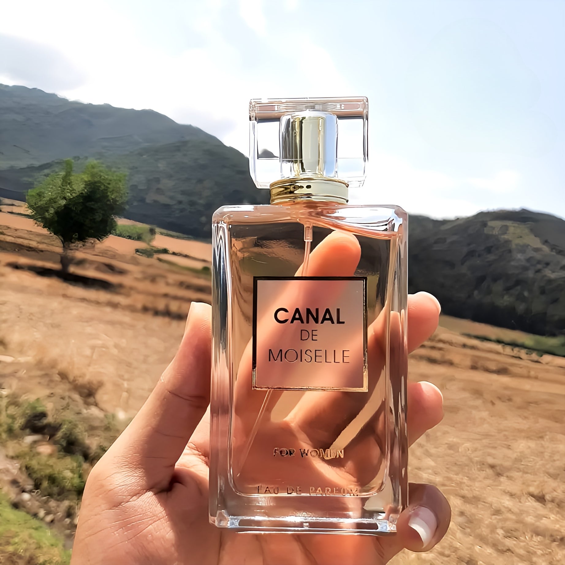 Canal De Moiselle بديل كوكو مدموزيل (100ML ستاتي)