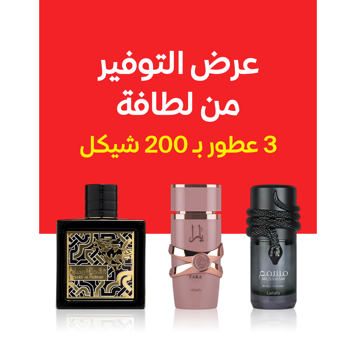 مسمم + يارا + قائد الفرسان أسود