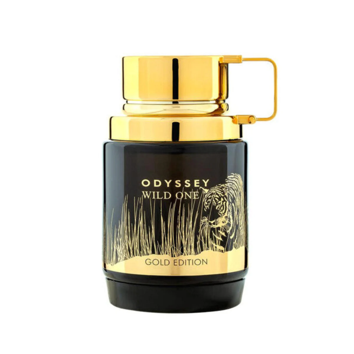 Armaf Odyssey Wild One Gold Edition ارماف اوديسي ويلد ون جولد ايديشن (100ML رجالي)