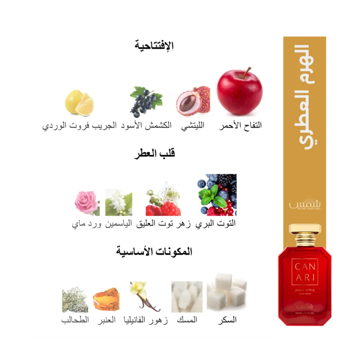 CANARI JUICY APPLE بديل كيالي جوسي أبل (100مل ستاتي)