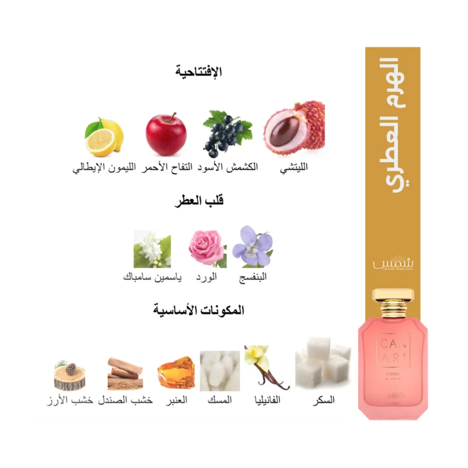 CANARI LYCHEE بديل كيالي ليتشي (100مل ستاتي)