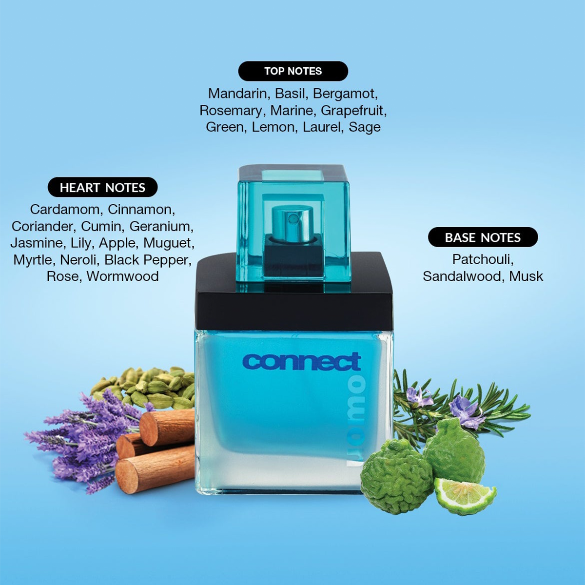 Connect Uomo (100ml رجالي)