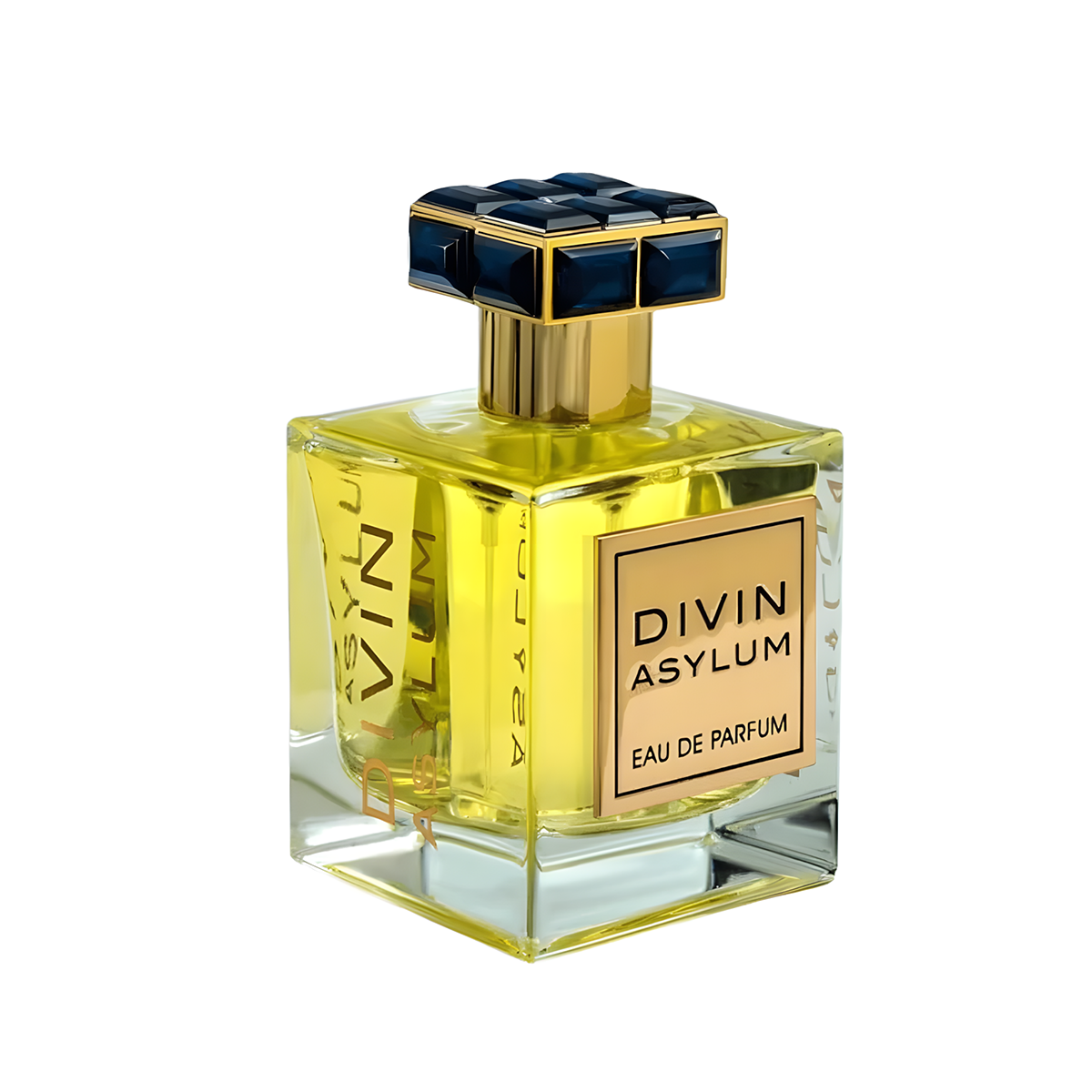 Divin Asylum بديل روجا اليسيوم (100ml رجالي)