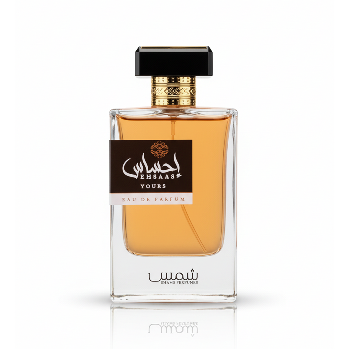 EHSAAS YOURS احساس يورز (100مل رجالي)