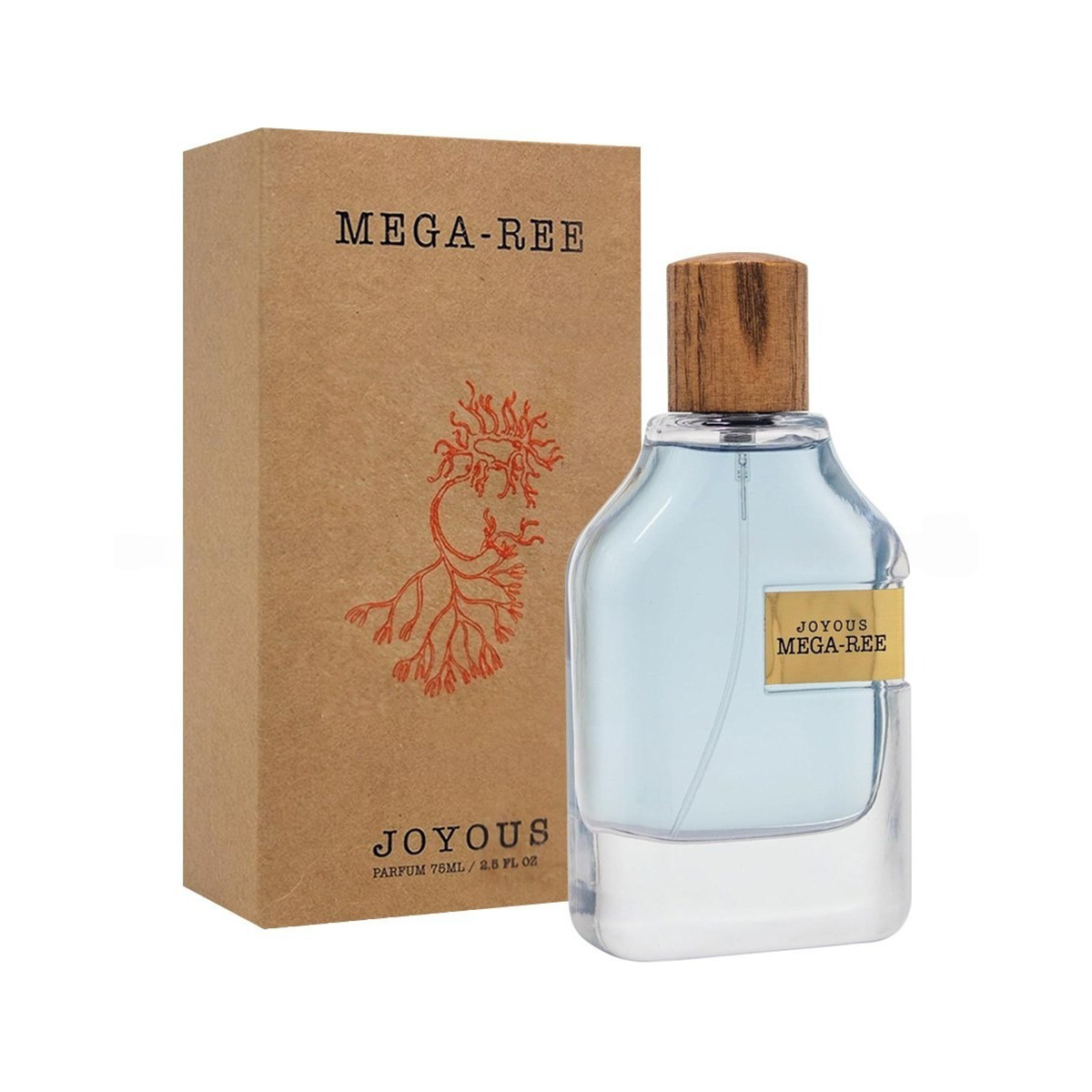 MEGA-REE Joyous بديل ميجامير اورتو باريسي (100مل رجالي)