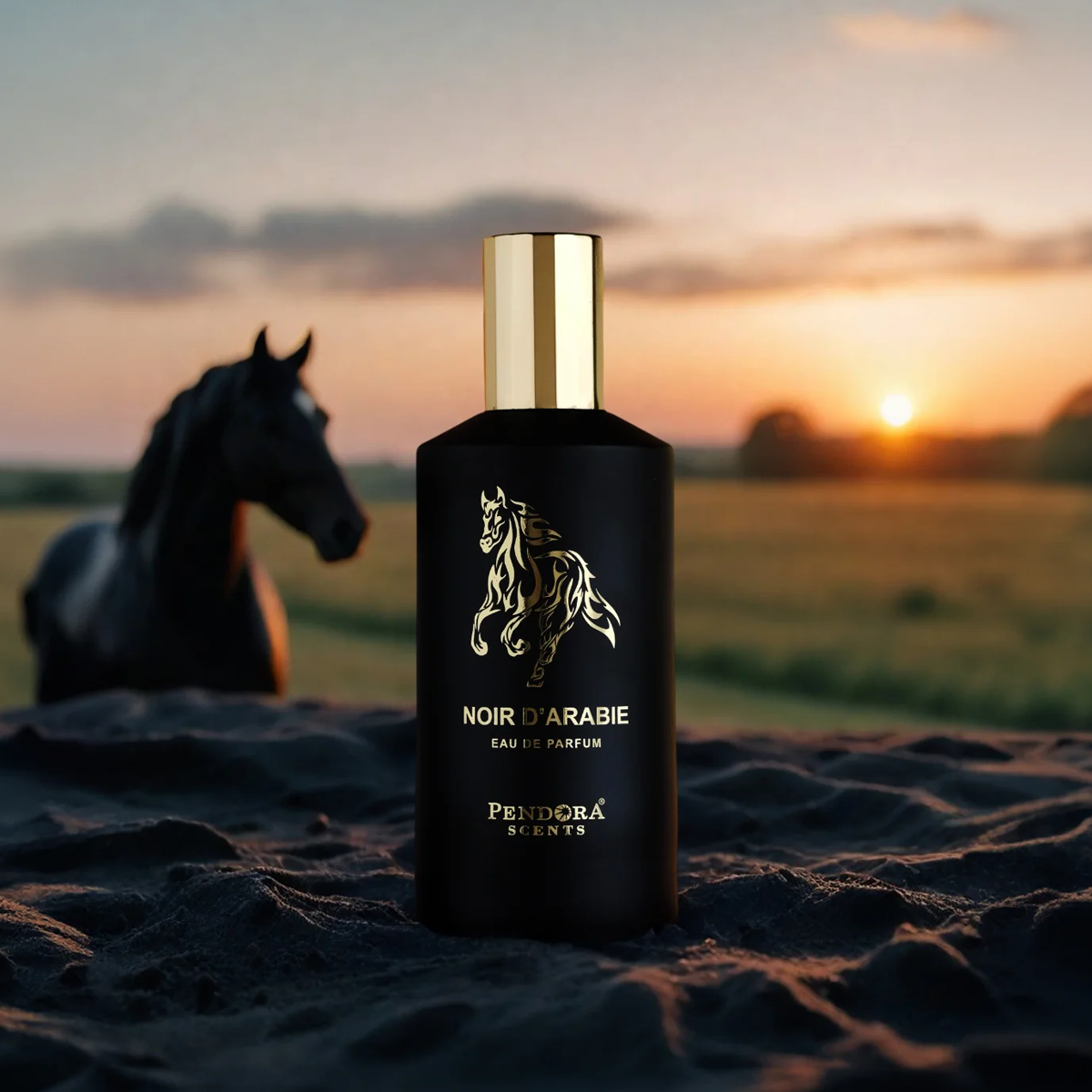 Noir D’Arabie بديل مونتال ارابيان تونكا (100ml رجالي)