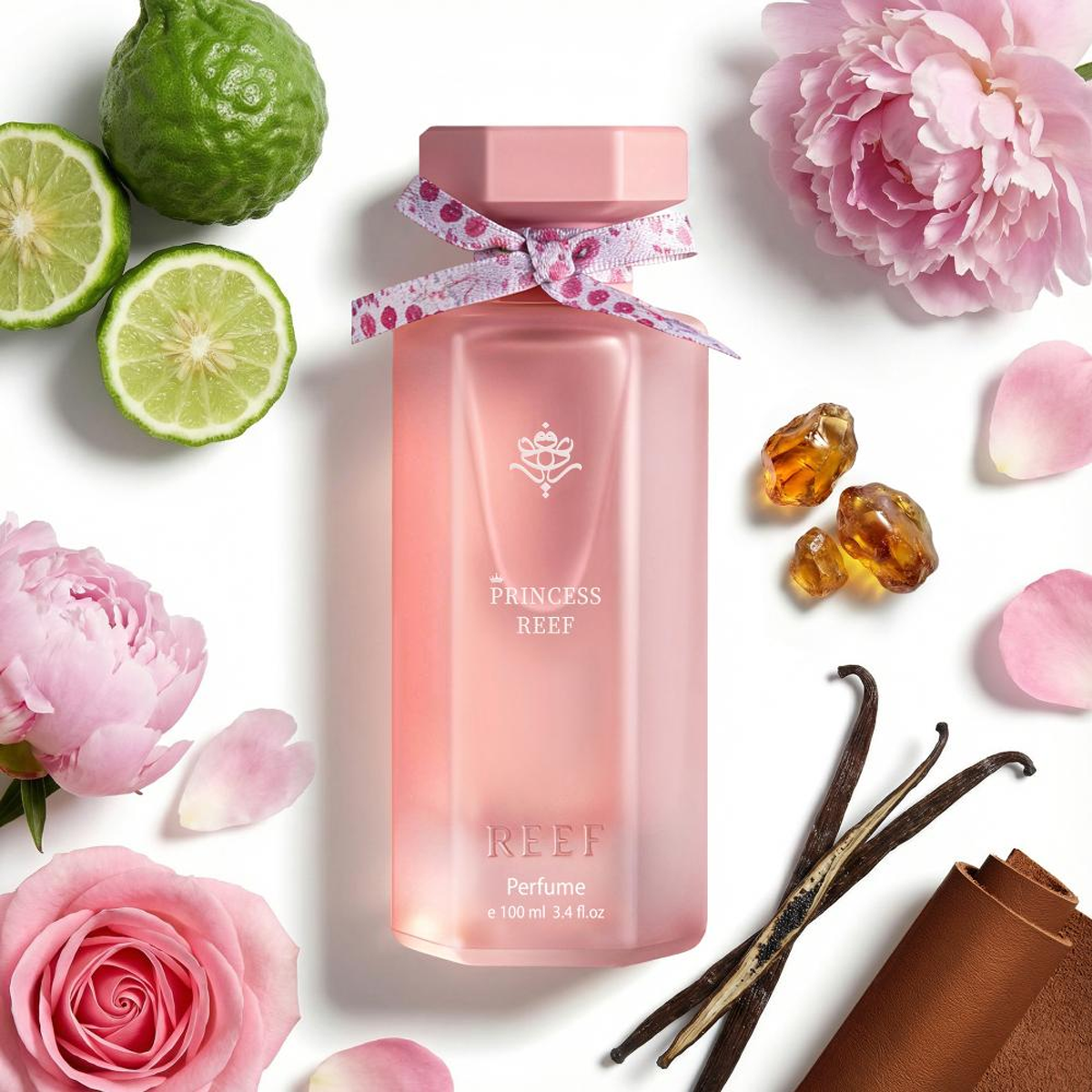 Princess Reef Box مجموعة برنسس ريف (ستاتي)