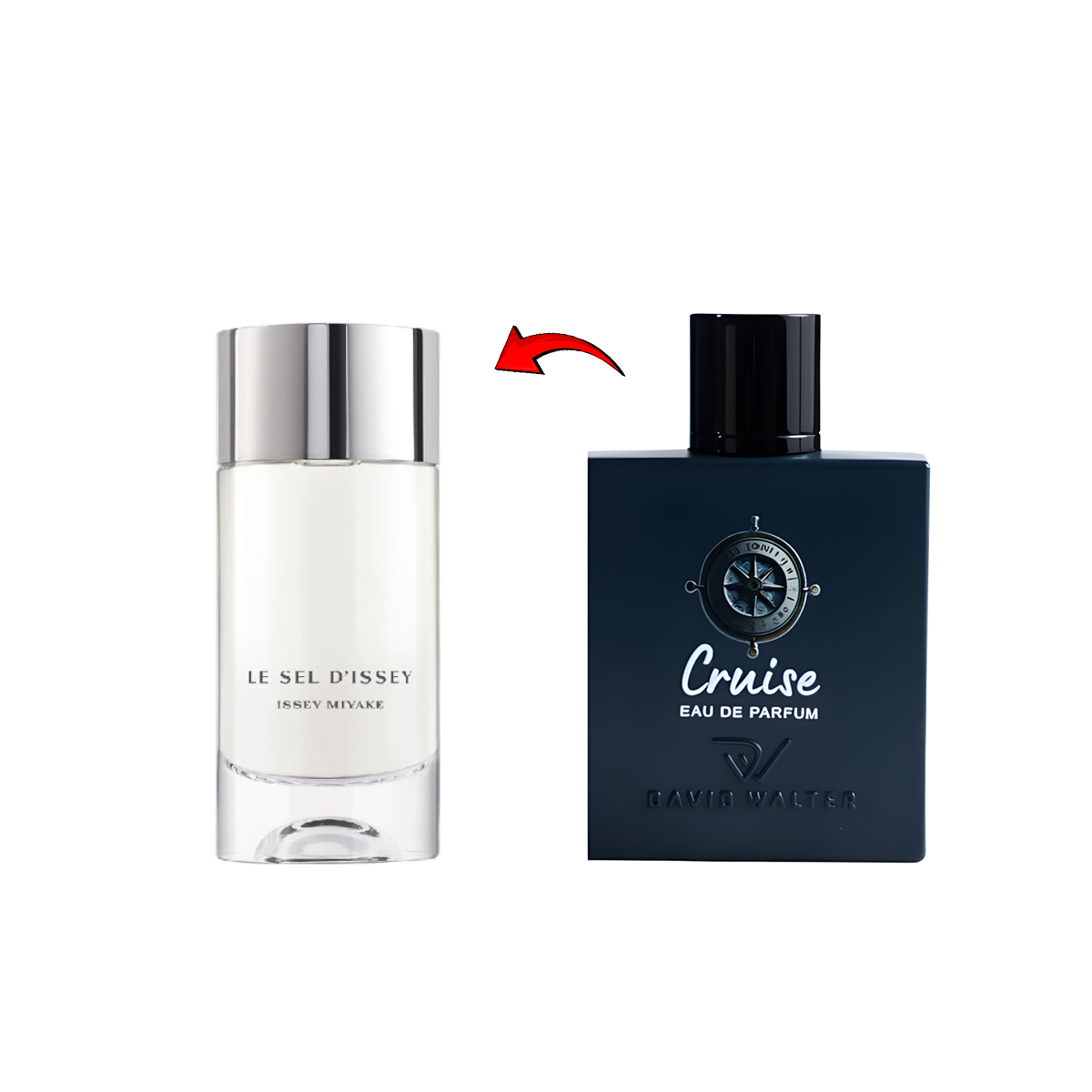 David Walter Cruise بديل اسمياكي لو سيل (100مل رجالي)